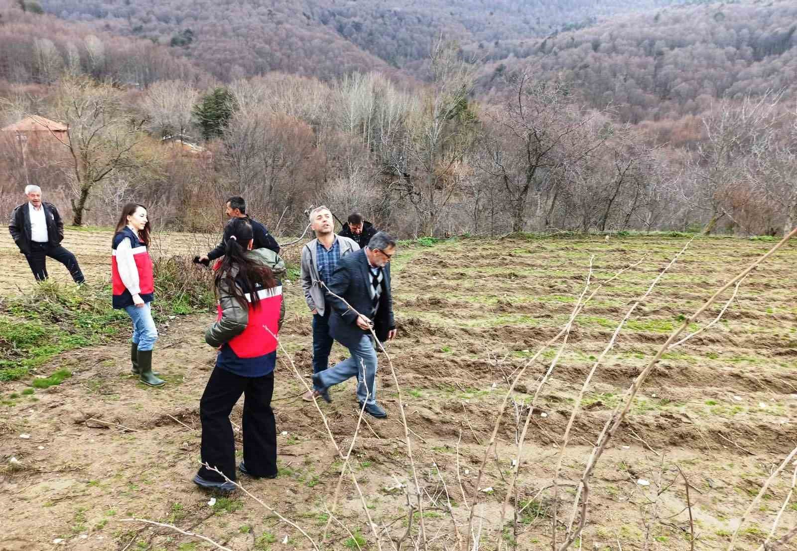 Kütahya’da yüzde 75 hibeli ahududu bahçelerinde kontroller gerçekleştirildi
