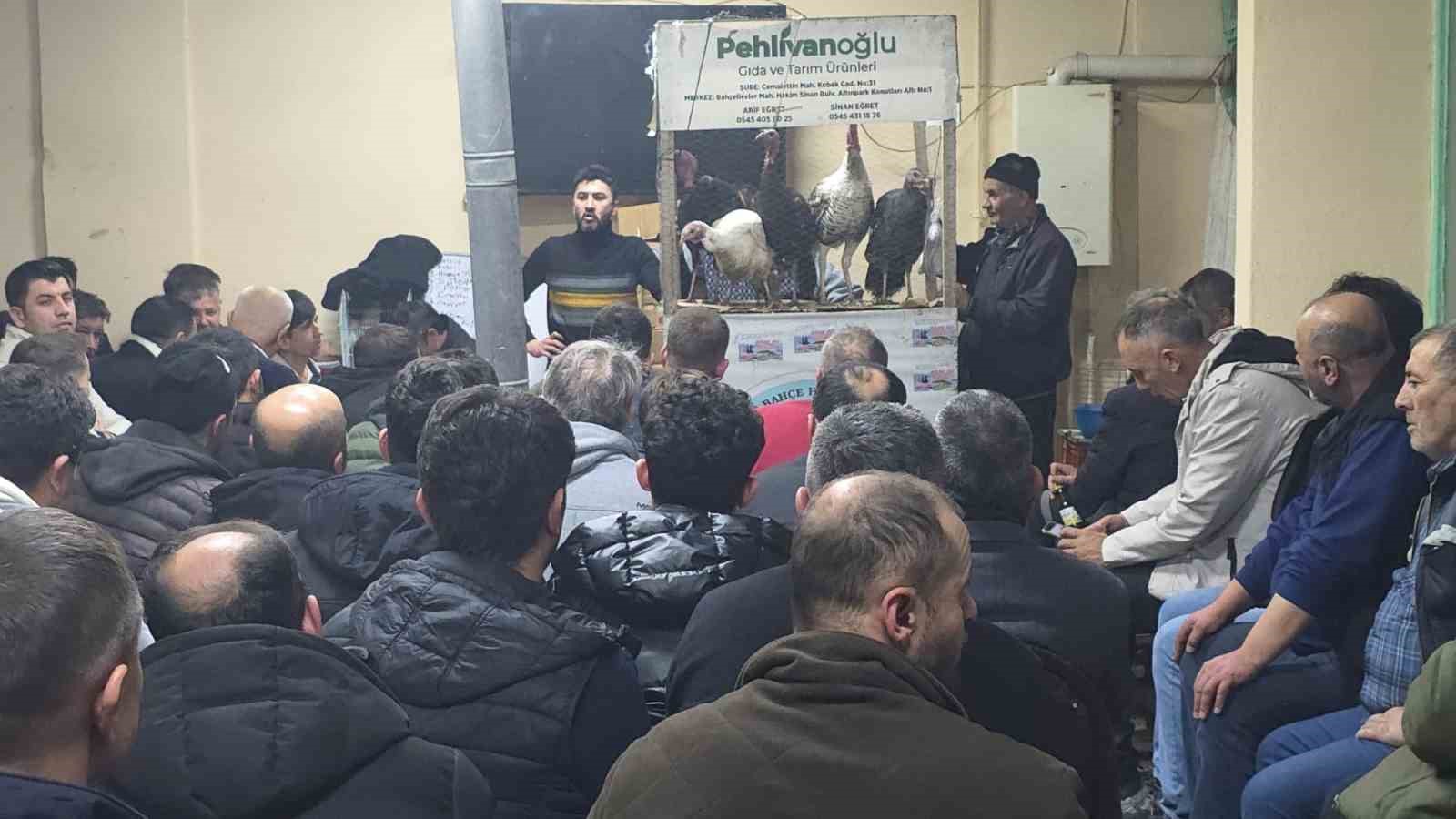 Kütahya’daki süs tavukları açık artırmayla satıldı
