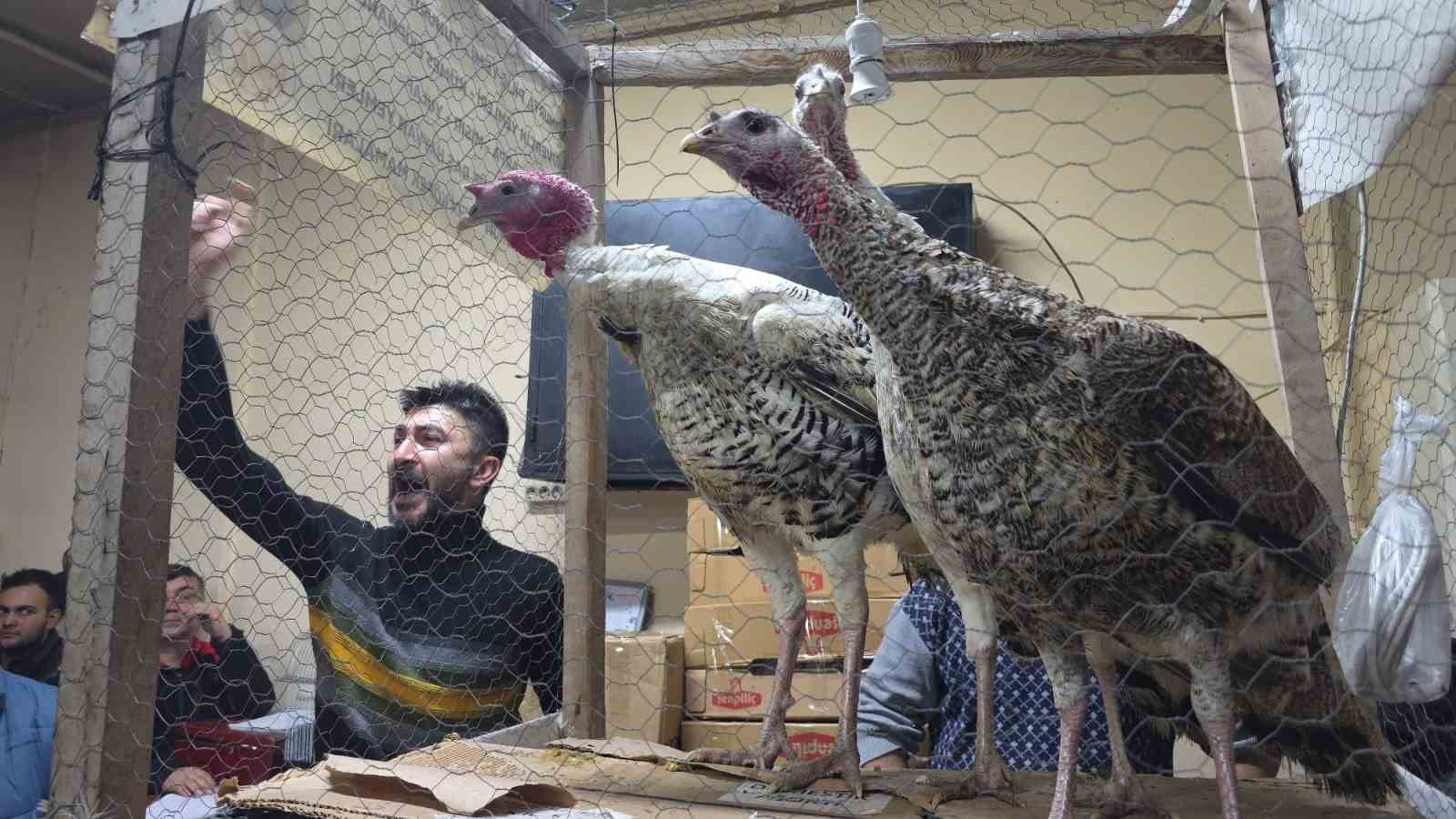 Kütahya’daki süs tavukları açık artırmayla satıldı
