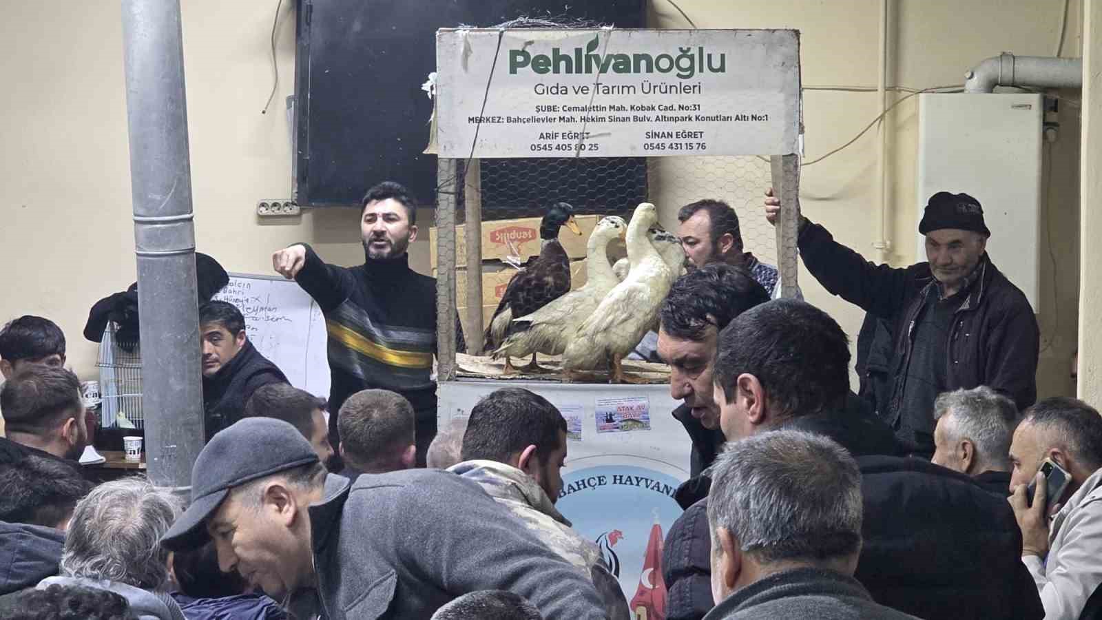 Kütahya’daki süs tavukları açık artırmayla satıldı
