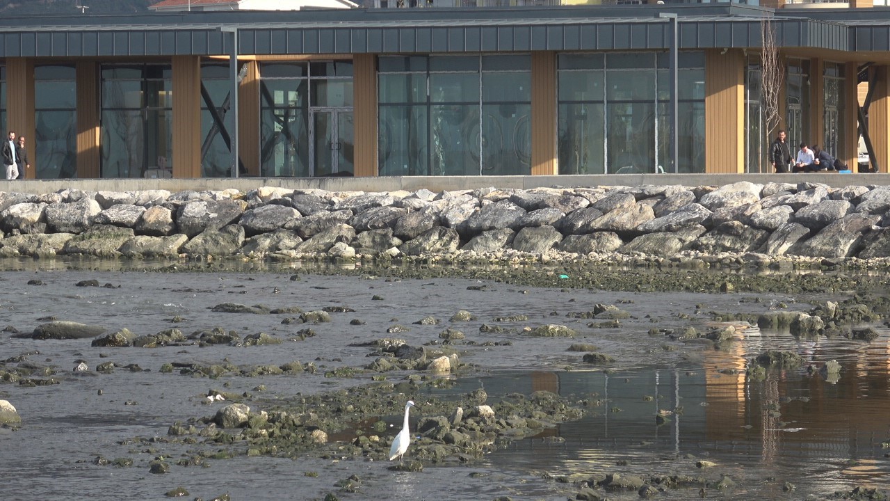 Kuvvetli fırtına sonrası İskenderun Körfezi’nde deniz suyu çekildi
