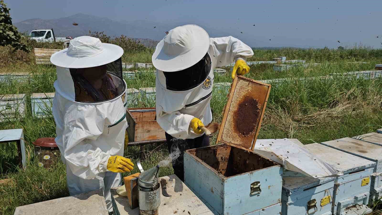 Kuyucak’tan dünyaya kovan ihracatı
Kuyucak’tan dünyaya kovan ihracatı