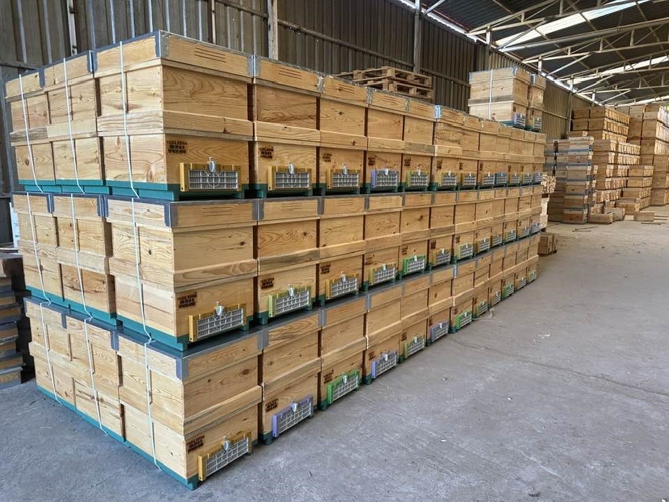 Kuyucak’tan dünyaya kovan ihracatı
Kuyucak’tan dünyaya kovan ihracatı