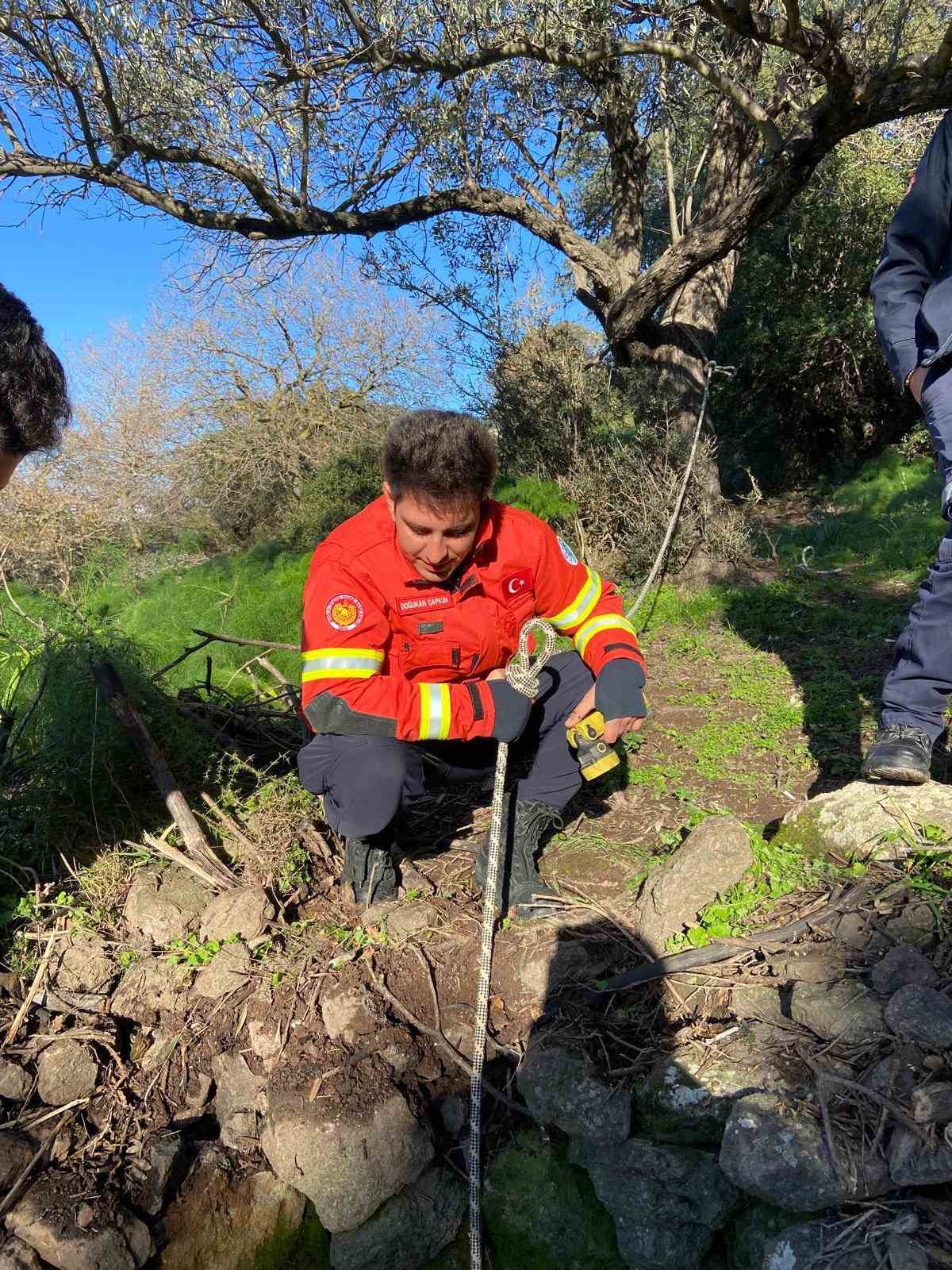 Kuyuya düşen buzağı kurtarıldı
