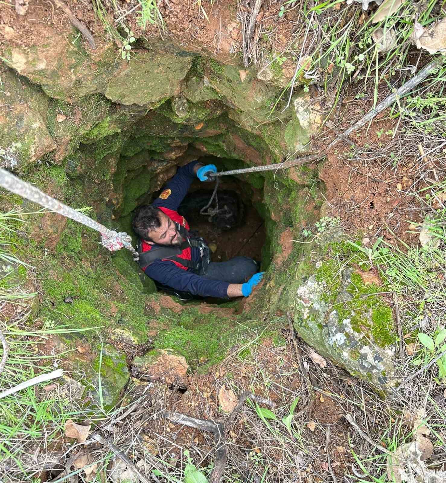 Kuyuya düşen keçiyi itfaiye kurtardı
