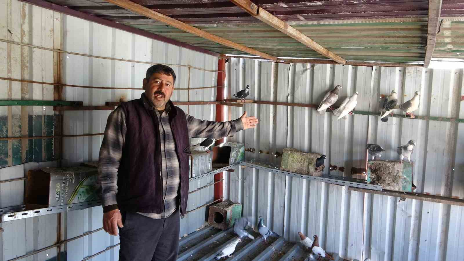 Kuzeninin 7 yaşındayken kendine verdiği güvercinle başlayan hevesini 45 yıldır yaşatıyor
