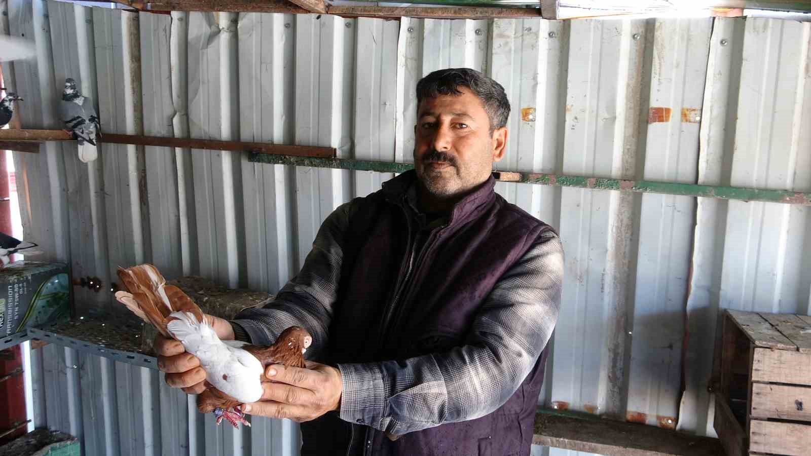 Kuzeninin 7 yaşındayken kendine verdiği güvercinle başlayan hevesini 45 yıldır yaşatıyor
