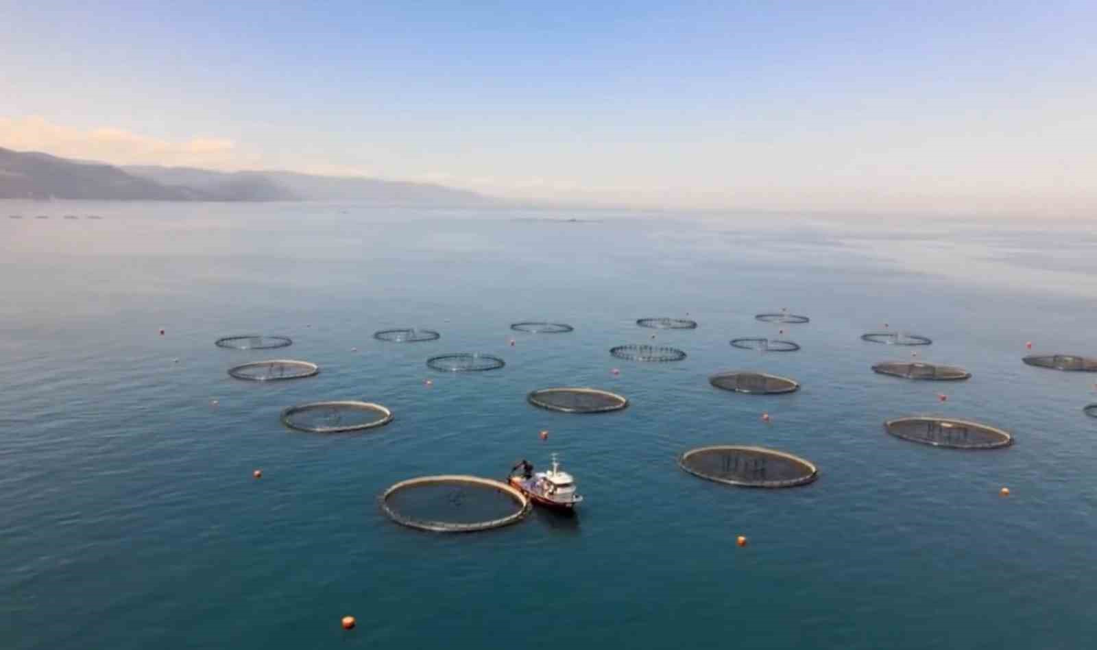 Kuzeyin üretim üssü Samsun’da su ürünleri hamlesi
