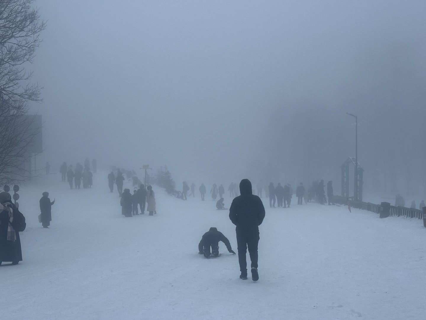 Kuzuyayla’da tatilcilere kar ve kızıl geyik sürprizi
