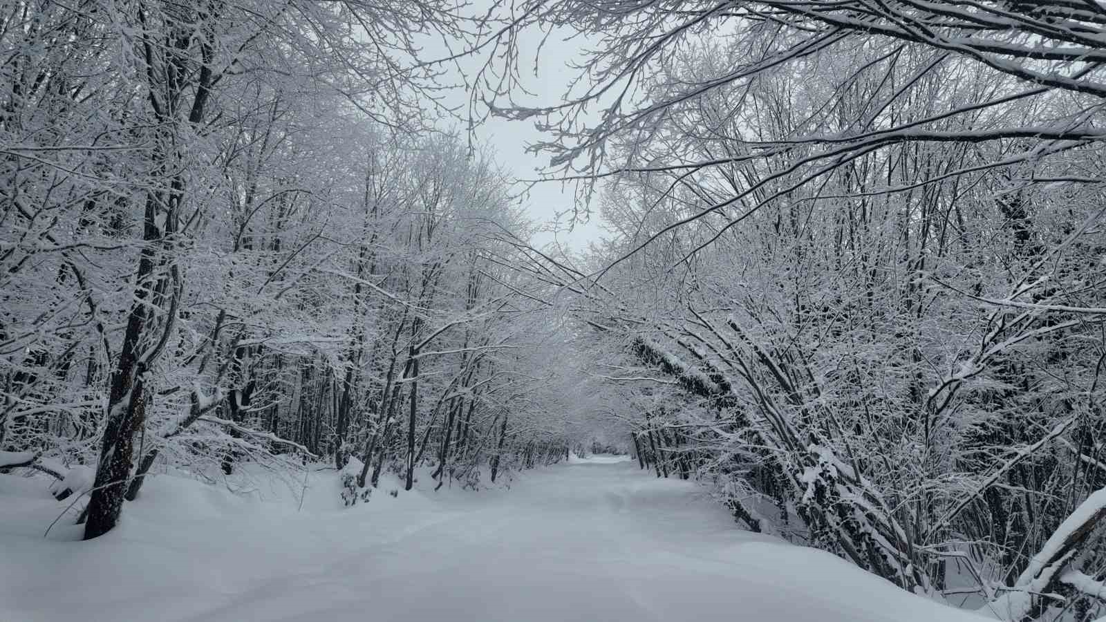 Lapa lapa kar altında adrenalin dolu yolculuk
