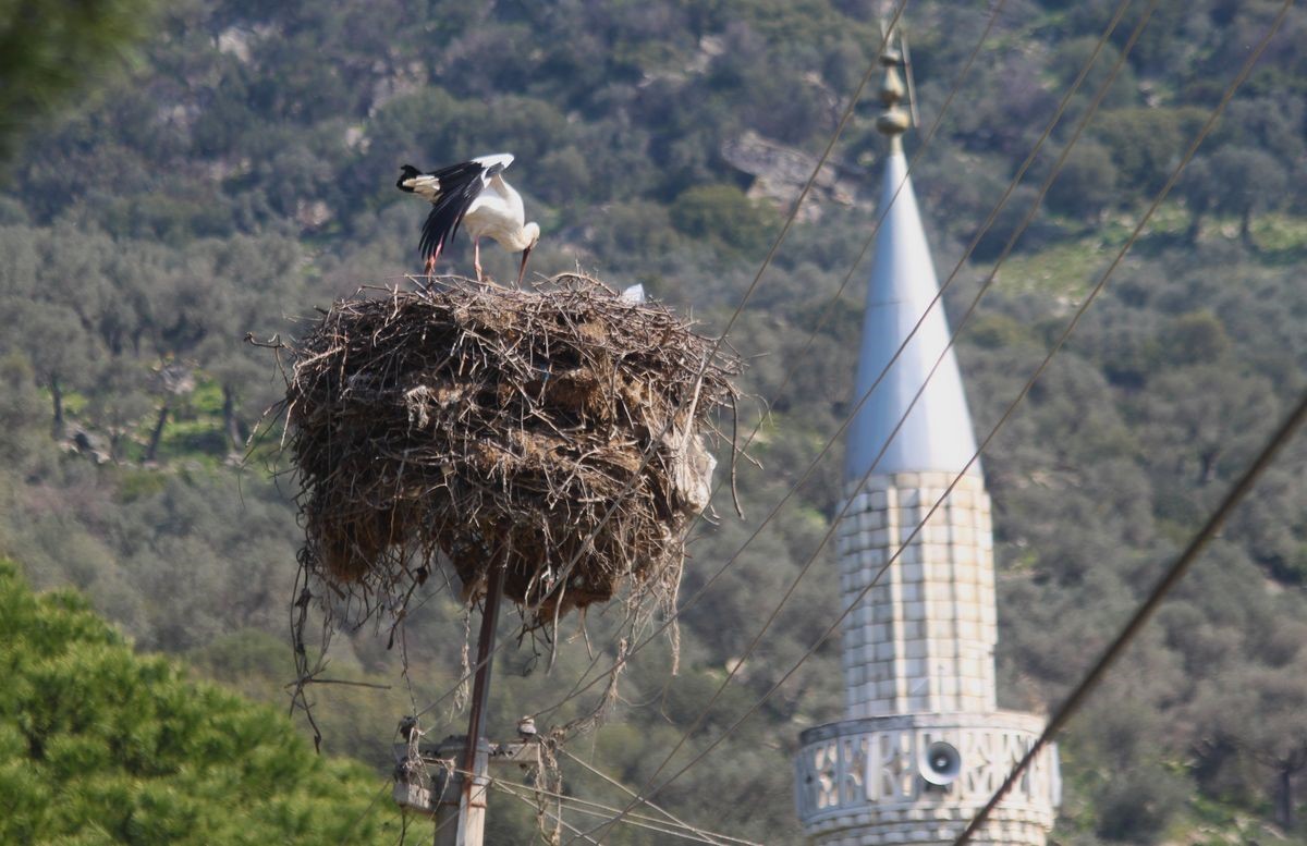 Leyleği ilk görene 1 çuval un kampanyası tamamlandı

