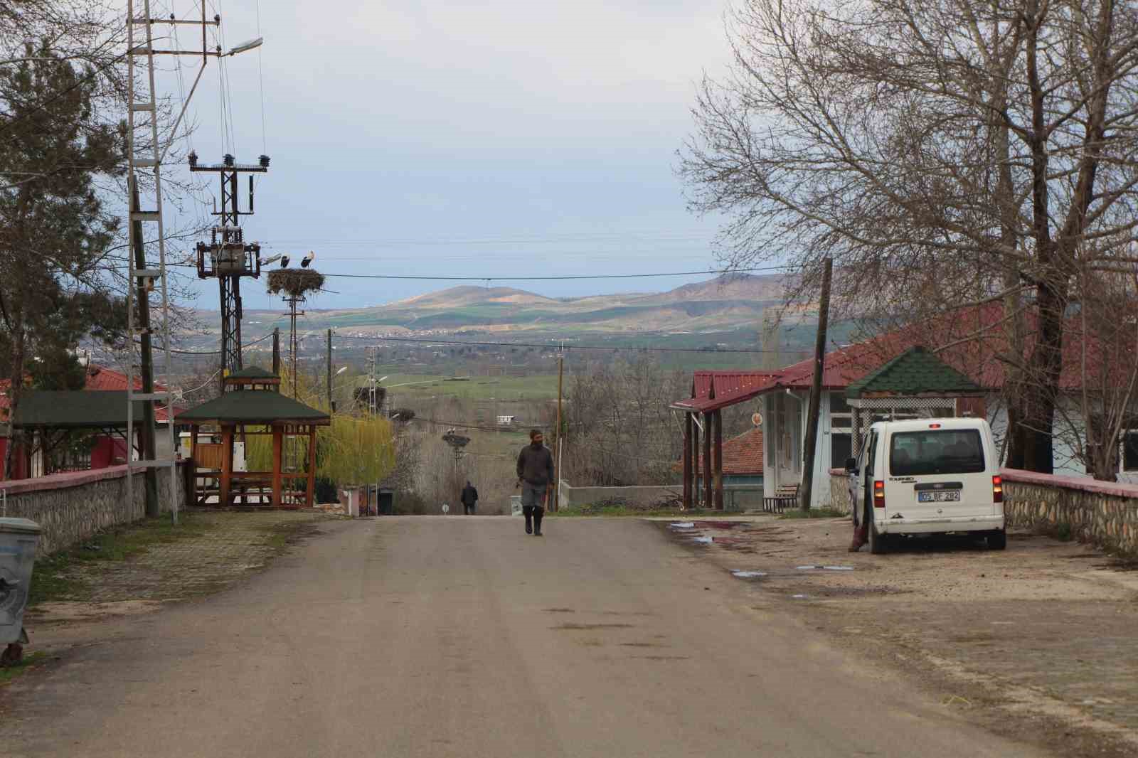 Leyleklere ‘Saygılı’ köy: Bütün elektrik direkleri yuva oldu, leylekler için tedbir alındı
