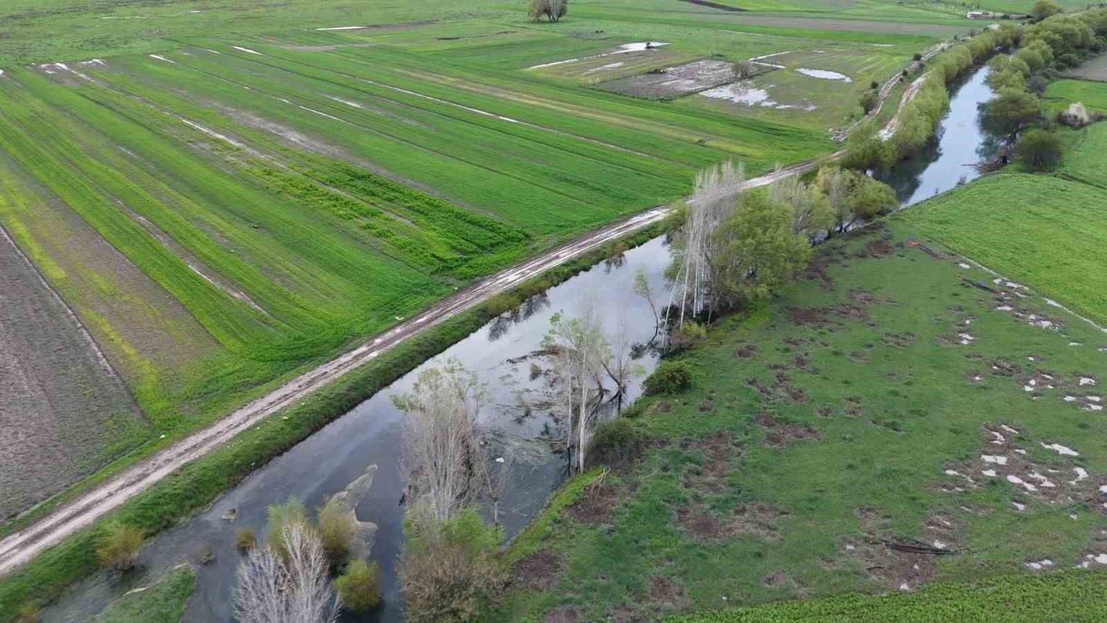 Leyleklerin durağı yemyeşil görüntüsüyle mest ediyor
