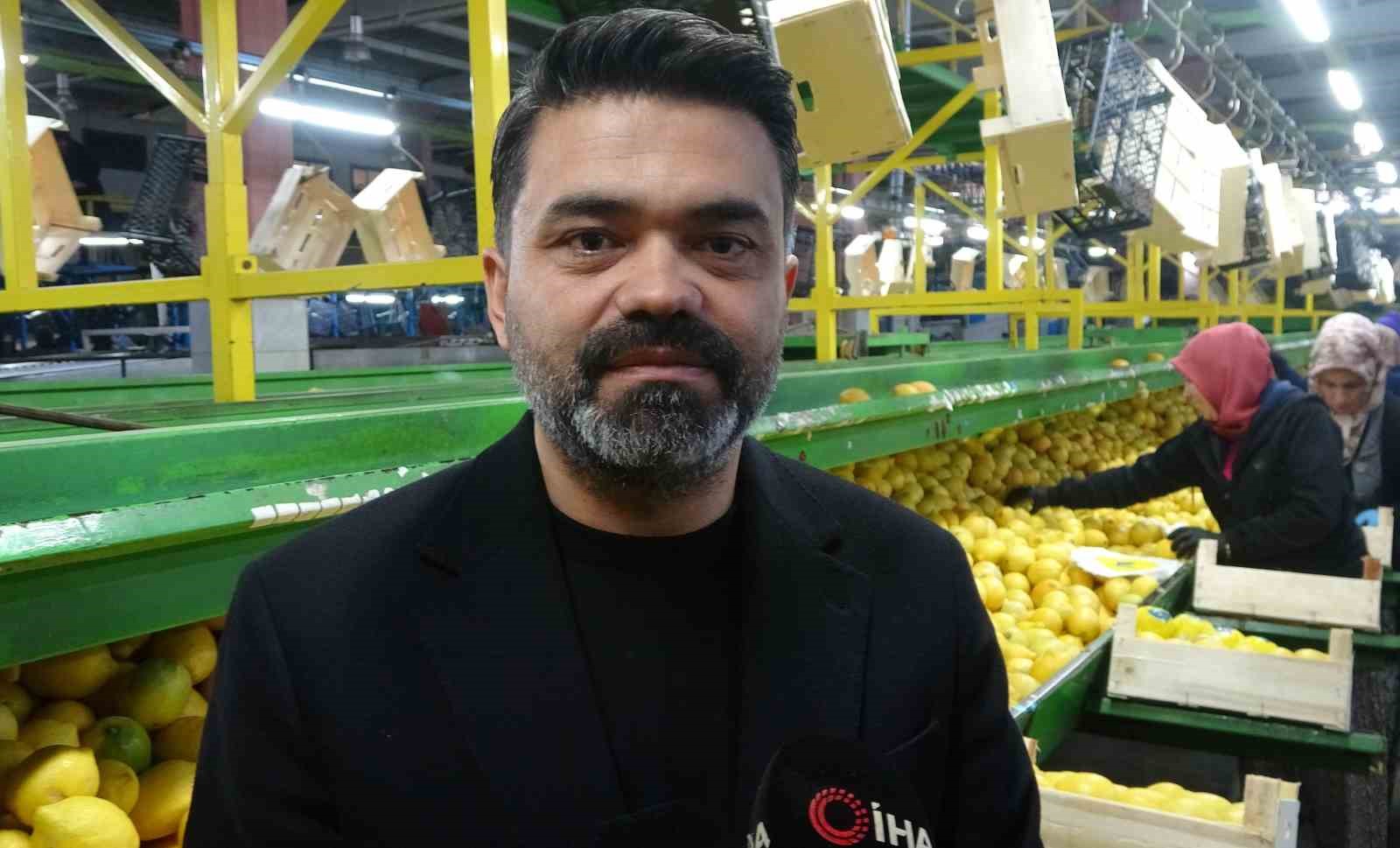 Limonda hasat sonu: Kadınların yoğun mesaisi sürüyor
