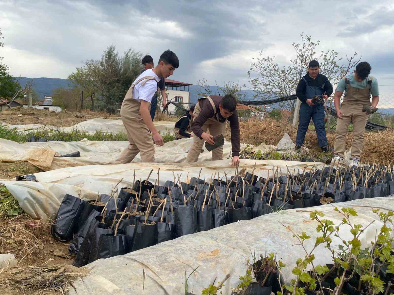 Liselilerden bölge tarımına büyük katkı
Liselilerden bölge tarımına büyük katkı
