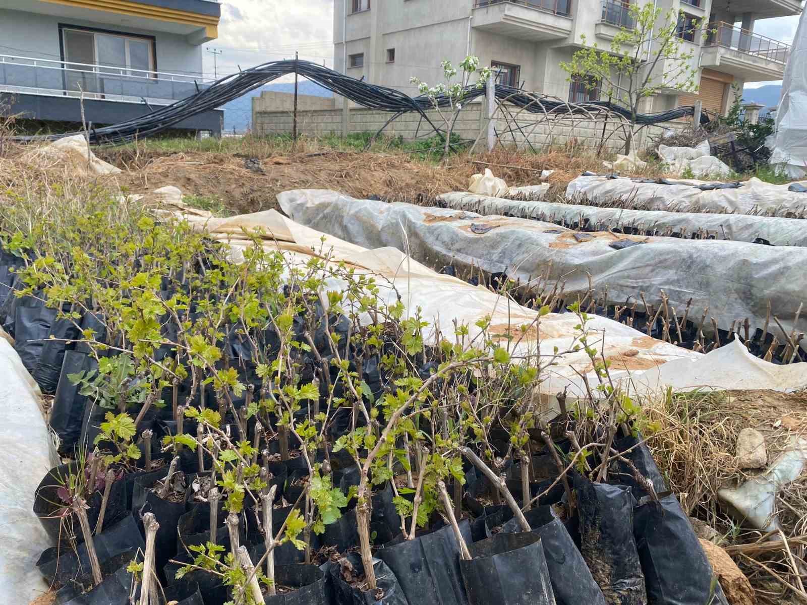 Liselilerden bölge tarımına büyük katkı
Liselilerden bölge tarımına büyük katkı