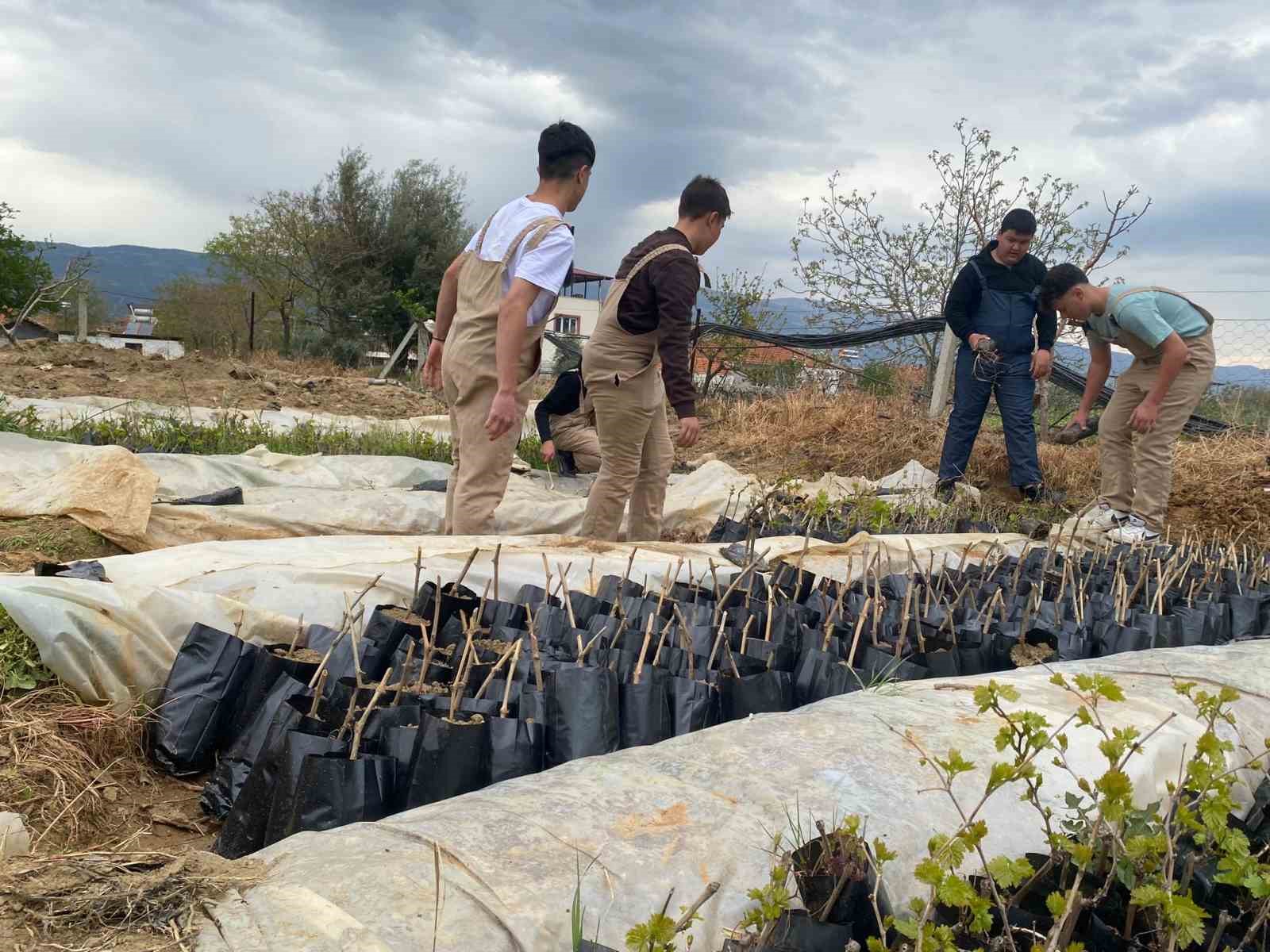 Liselilerden bölge tarımına büyük katkı
Liselilerden bölge tarımına büyük katkı
