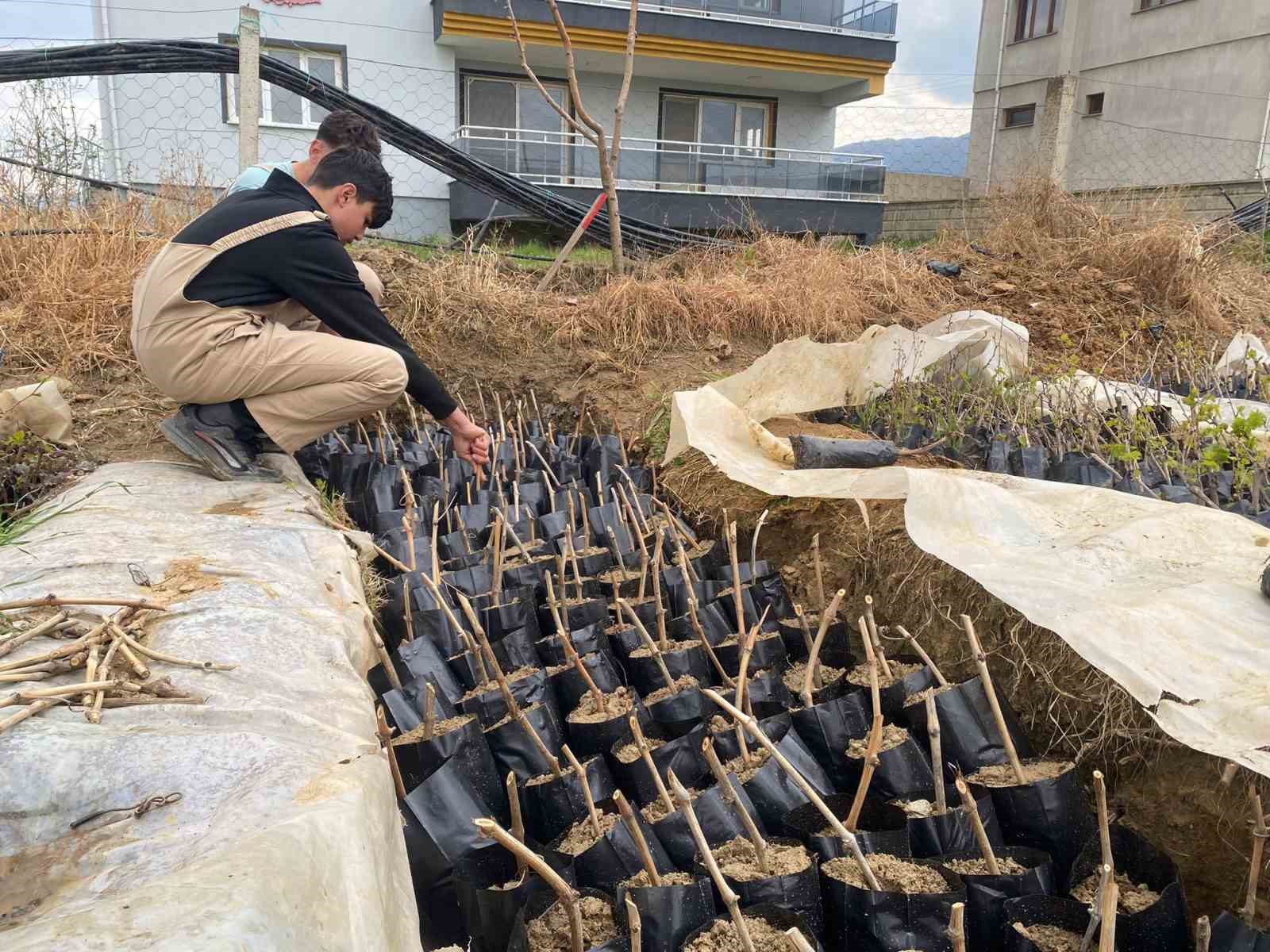 Liselilerden bölge tarımına büyük katkı
Liselilerden bölge tarımına büyük katkı