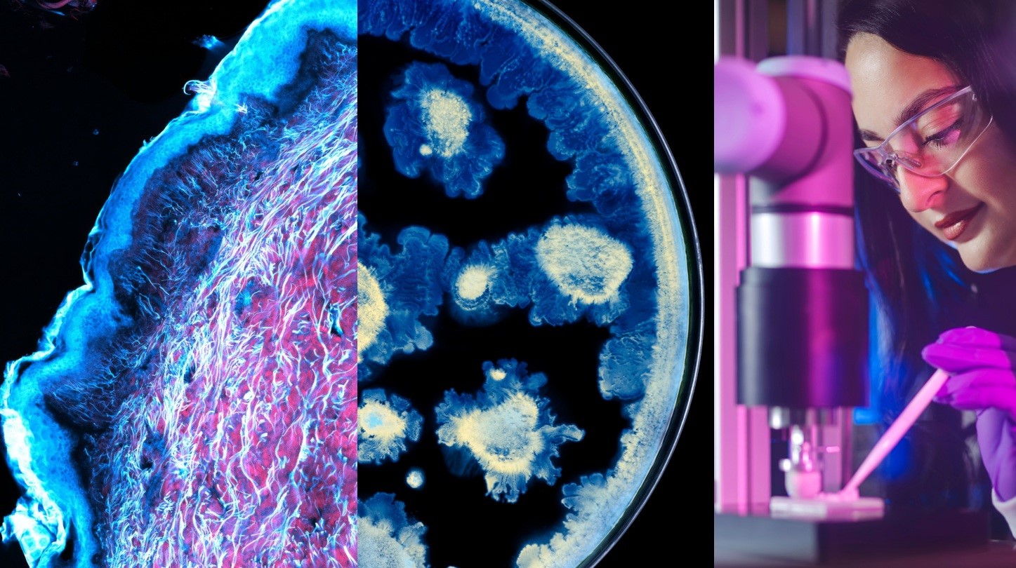 L’Oréal ve Institut Pasteur’den cilt sağlığı biliminde iş birliği
L’Oréal ve Institut Pasteur’den cilt sağlığı biliminde iş birliği