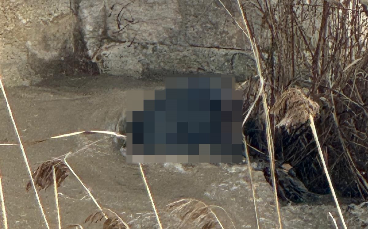 Lüleburgaz’da dere yatağında ceset bulundu
