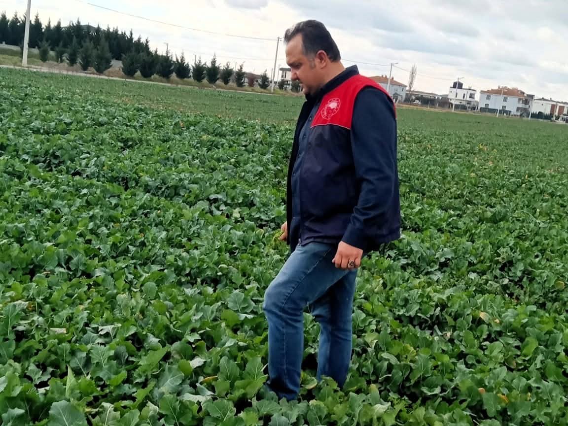 Lüleburgaz’da kanola ve buğday ekili alanlarda teknik kontroller yapıldı
