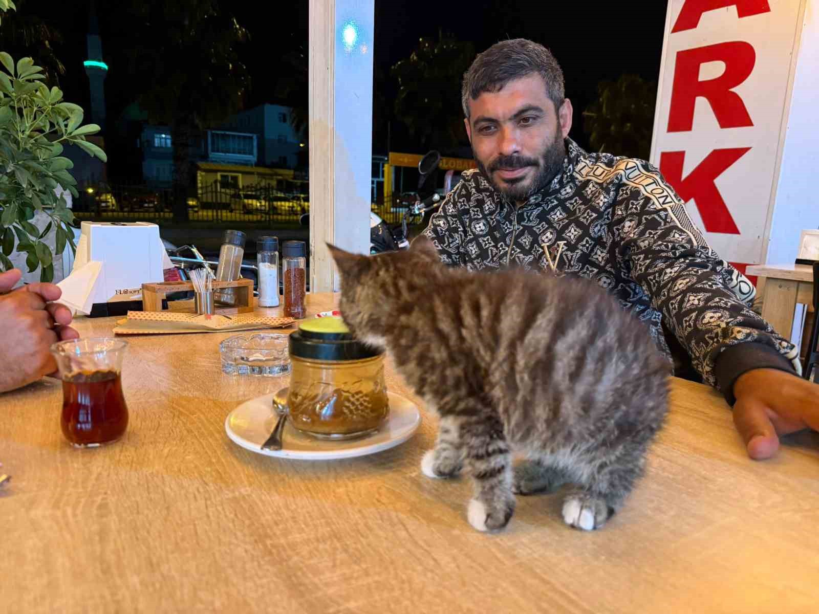 Madde bağımlılığından yavru kedi sayesinde kurtuldu
