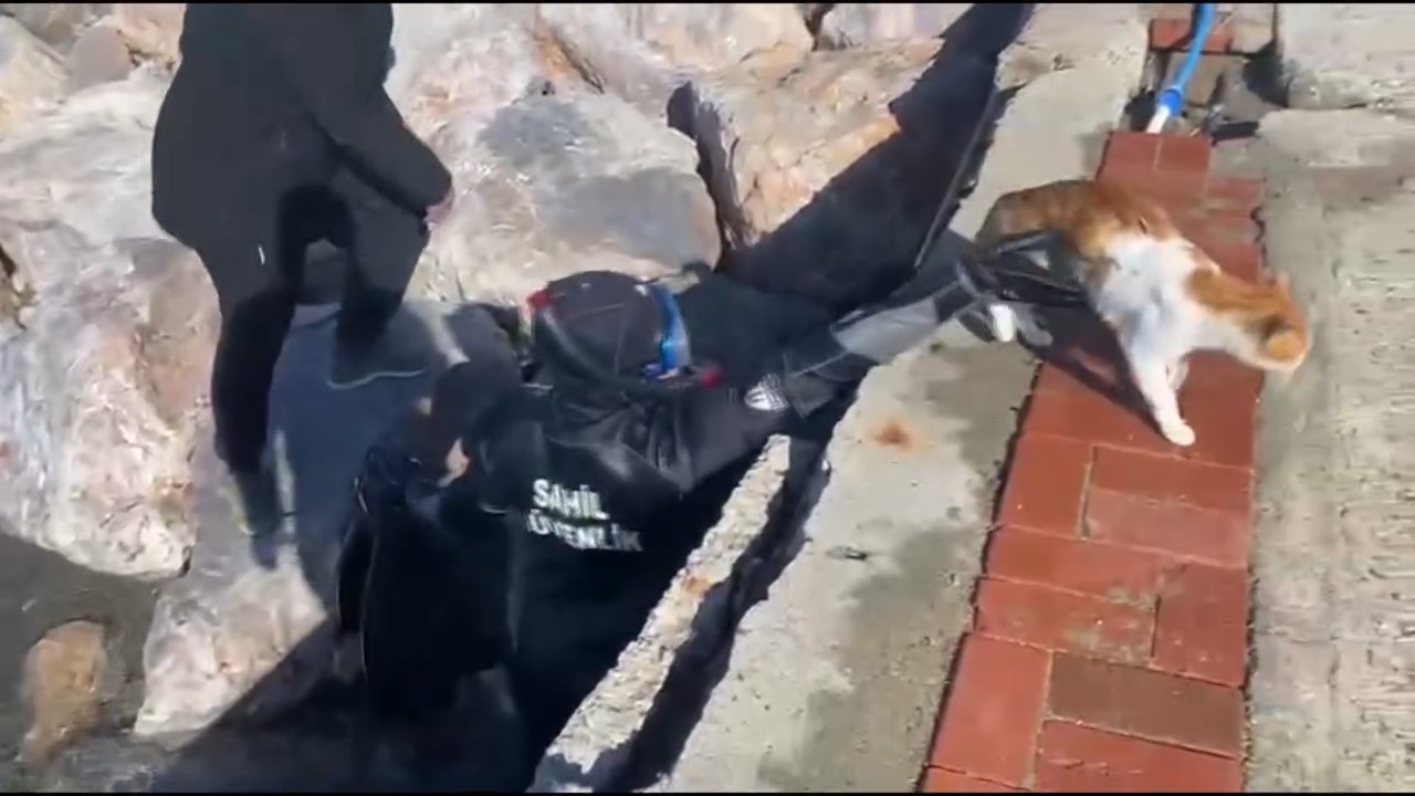 Mahsur kalan kedi için sahil güvenlik seferber oldu
