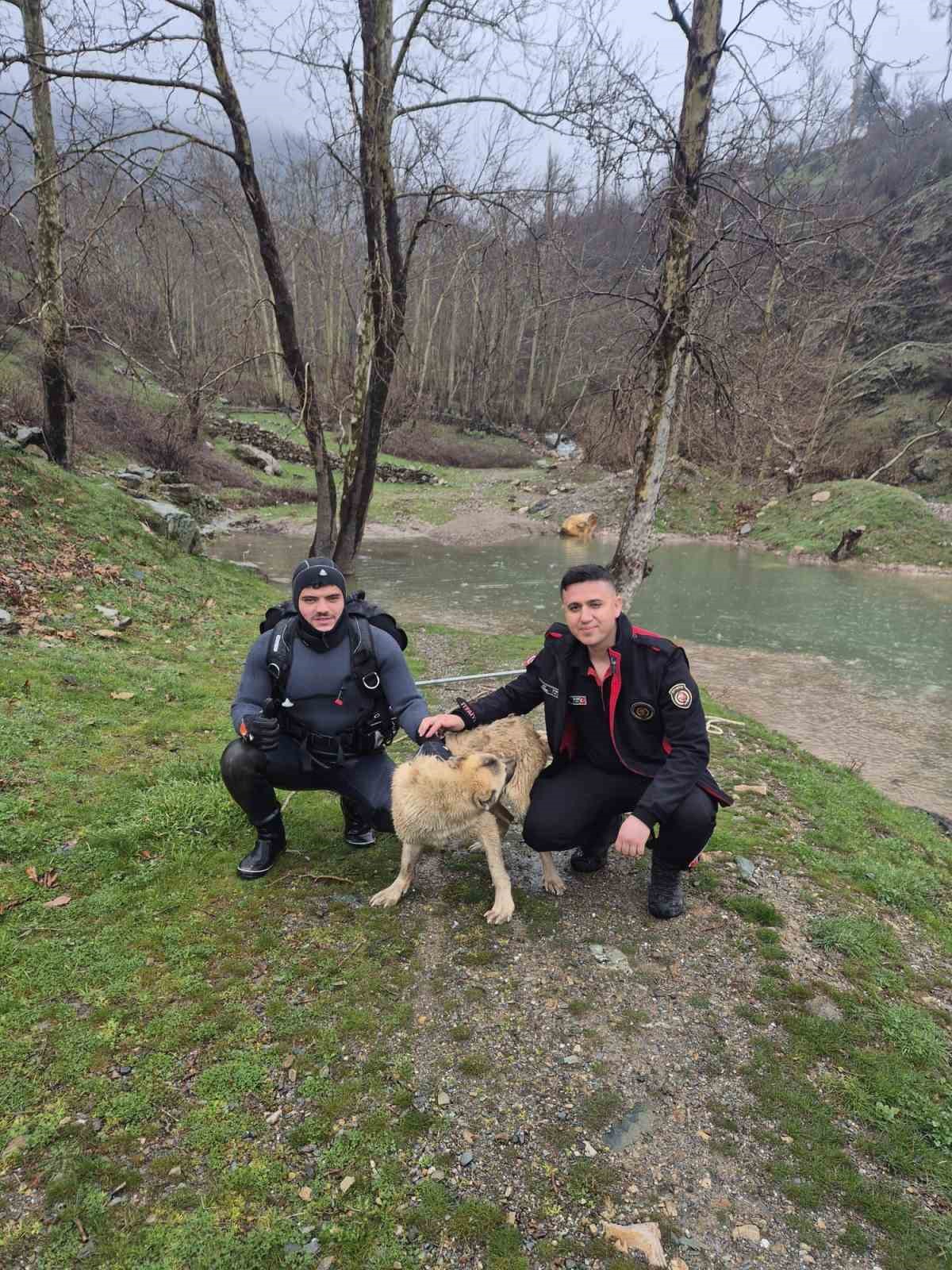 Mahsur kalan köpeği itfaiye ekipleri kurtardı
