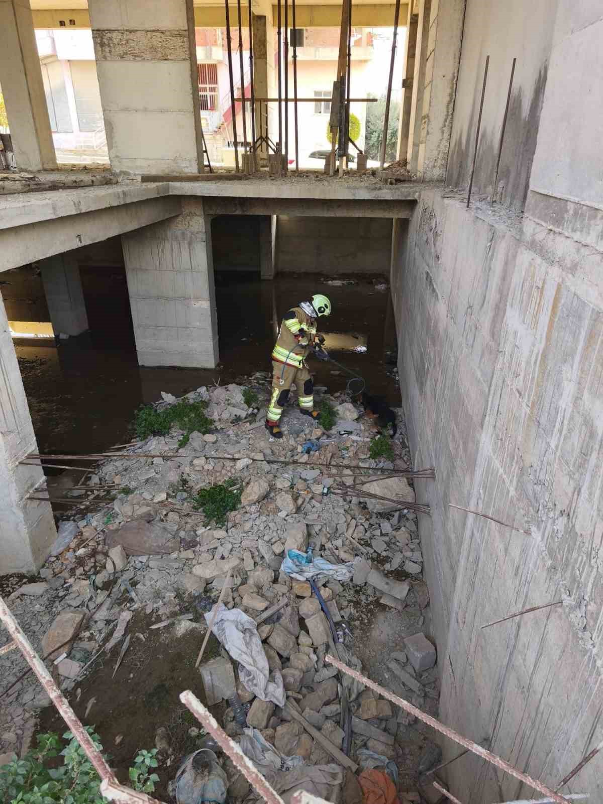 Mahsur kalan köpeklerin yardımına itfaiye yetişti
