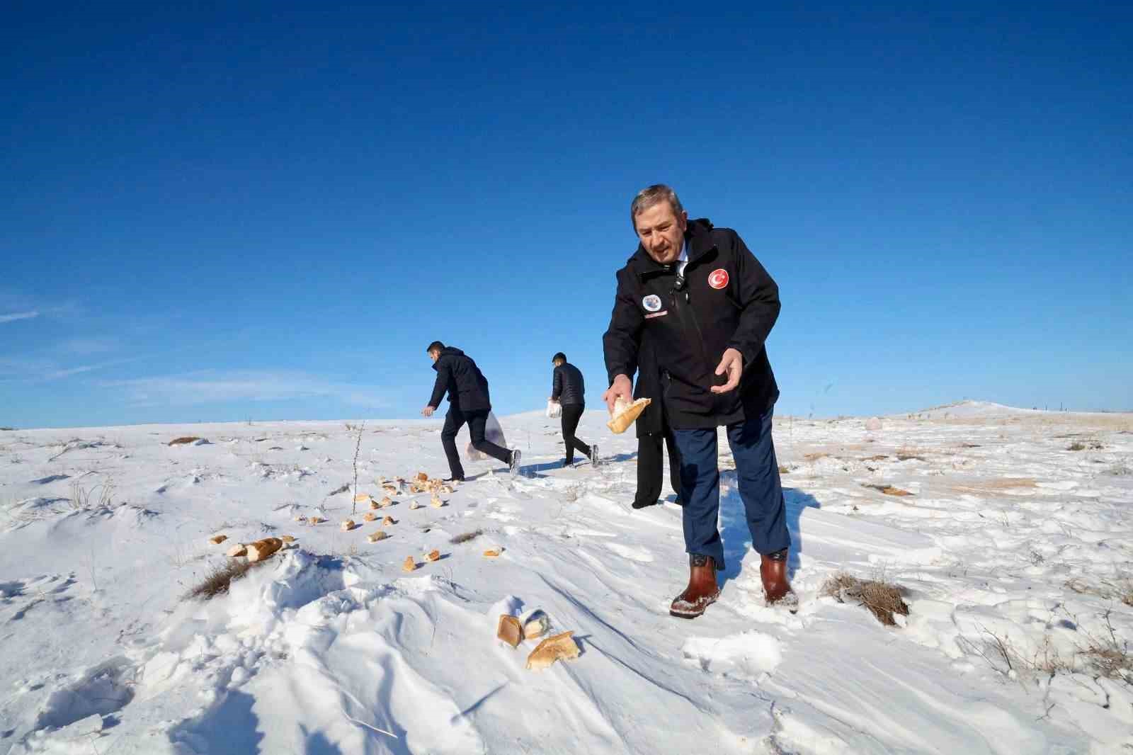 Malatya Darende’de yaban hayvanları için doğaya yem bırakıldı
