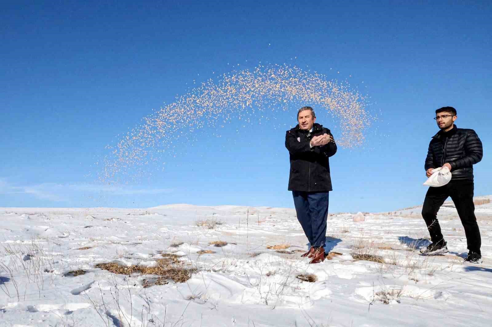 Malatya Darende’de yaban hayvanları için doğaya yem bırakıldı

