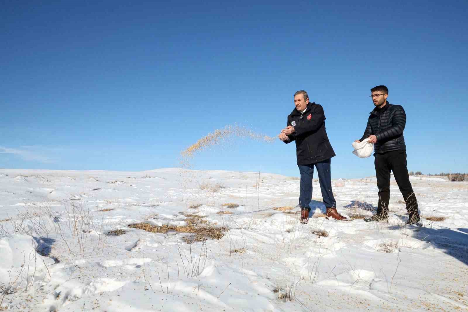 Malatya Darende’de yaban hayvanları için doğaya yem bırakıldı

