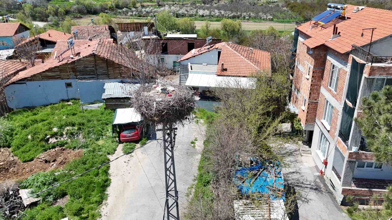 Malatya’da baharın müjdecisi leylekler yuvalarına dönüyor
