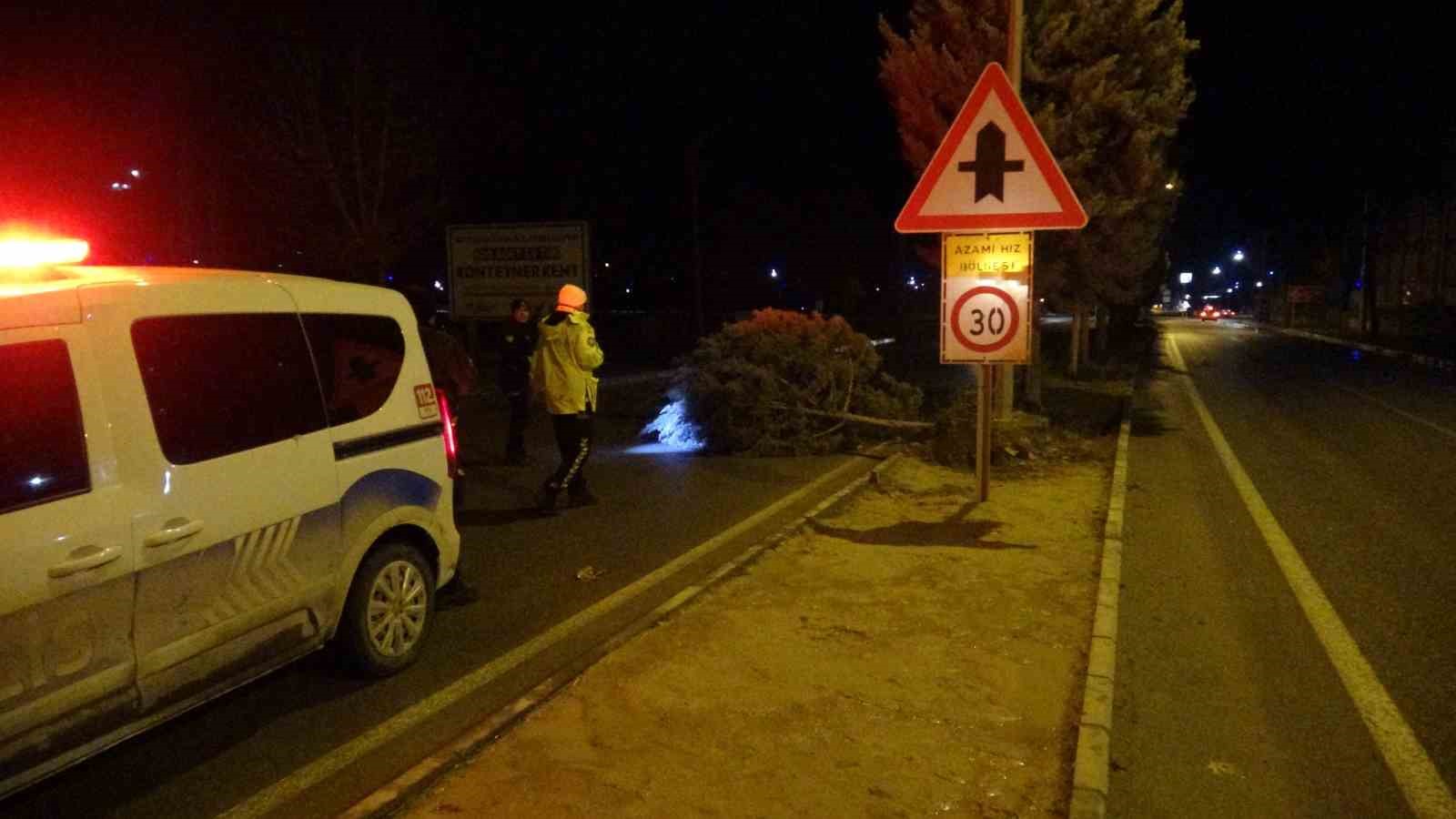 Malatya’da fırtına ağaçları kökünden söktü
