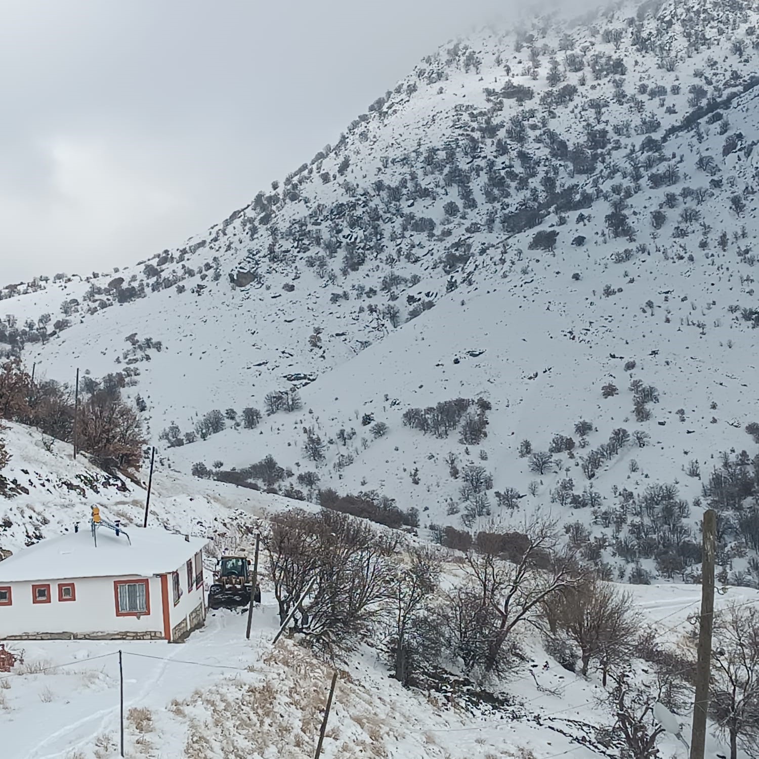 Malatya’da kırsal kesimlerde kar etkili oluyor
