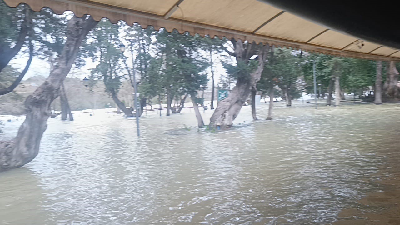 Manavgat Irmağı’nda su debisi yükseldi, işletmeleri su bastı
