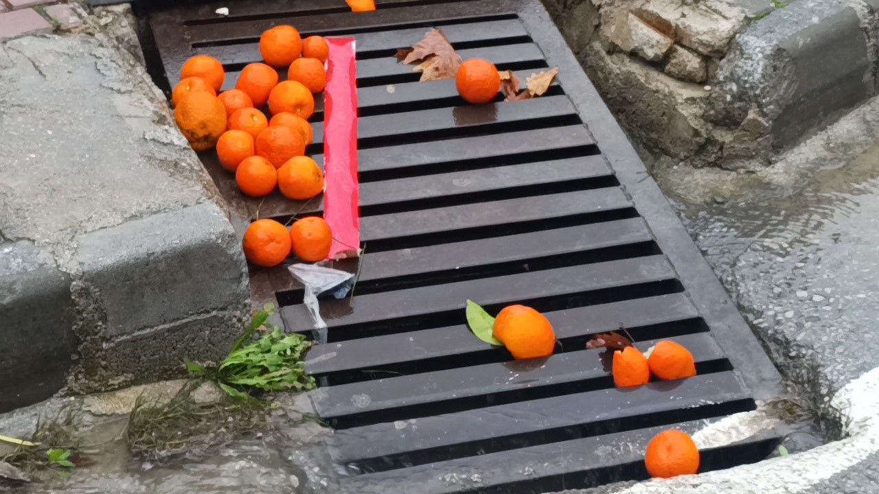 Manavgat’ta fırtına ve yağmur turunçları yollara döktü
