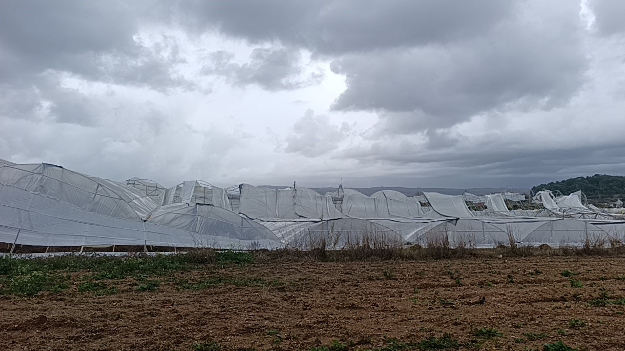 Manavgat’ta hortum 300 dönümlük alanda seraları yerle bir etti
