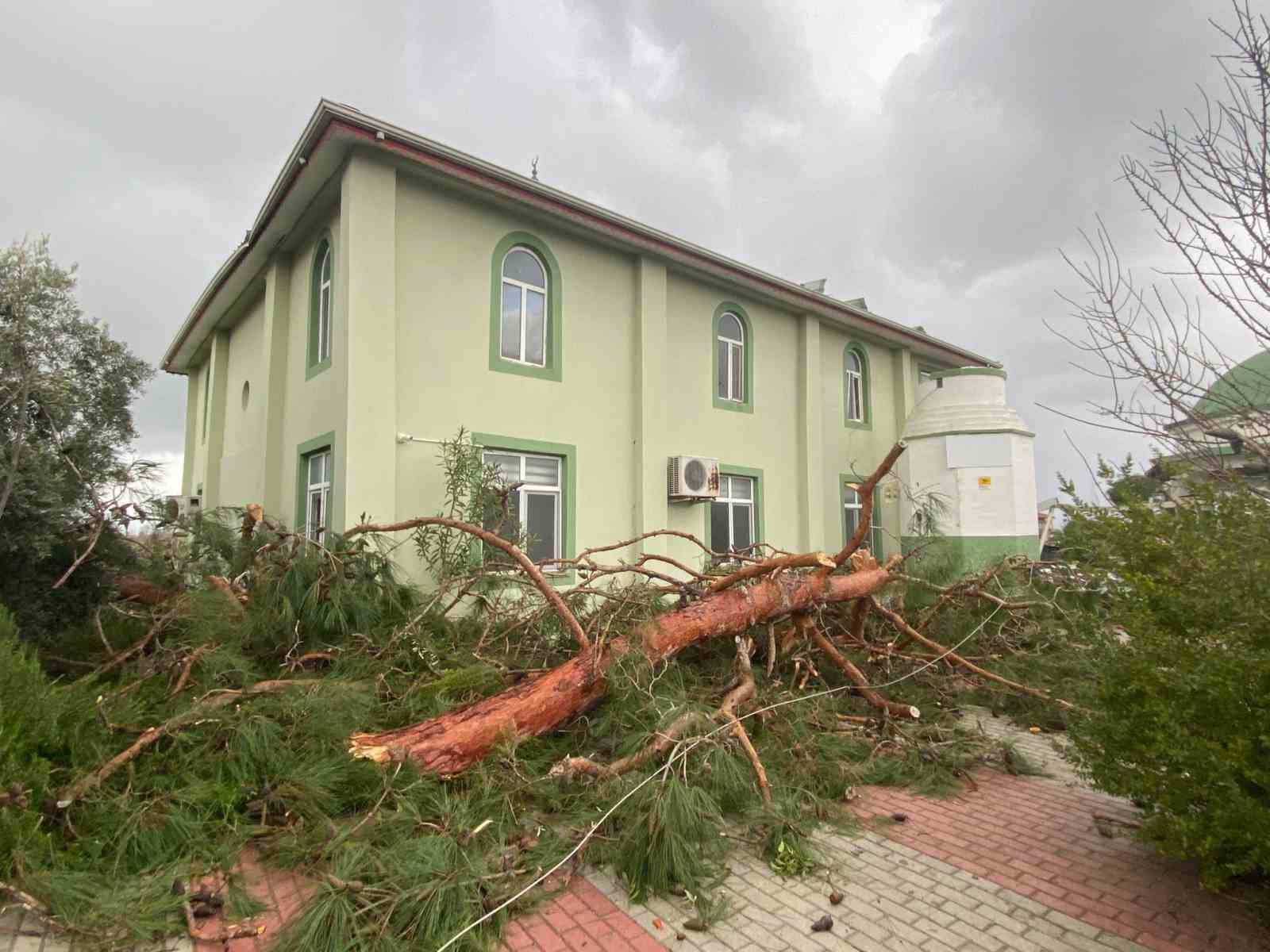 Manavgat’ta hortum üç mahalleyi harabeye çevirdi
Manavgat’ta hortum üç mahalleyi harabeye çevirdi