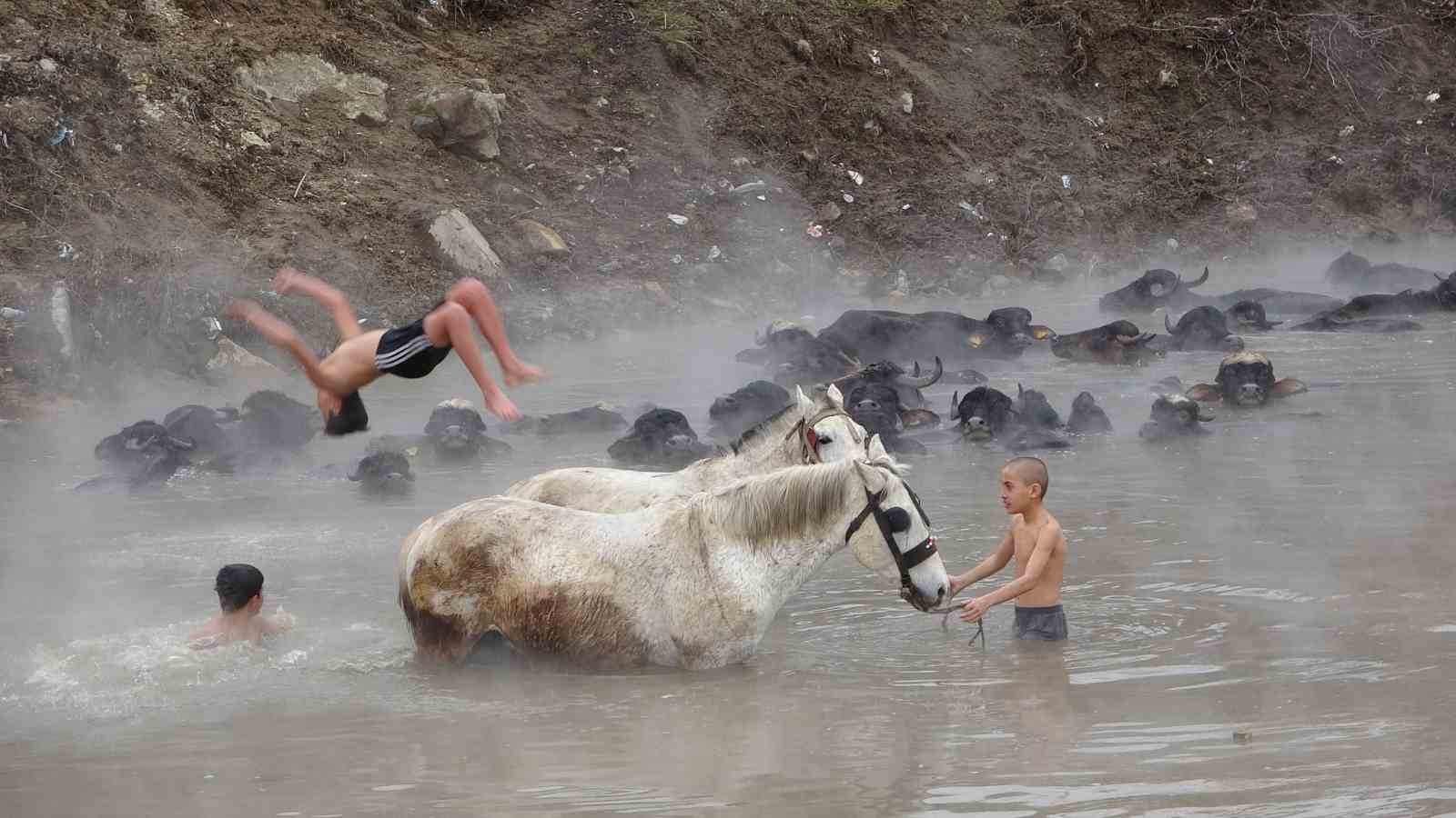 Manda ve atların kışın ortasında kaplıca keyfi
