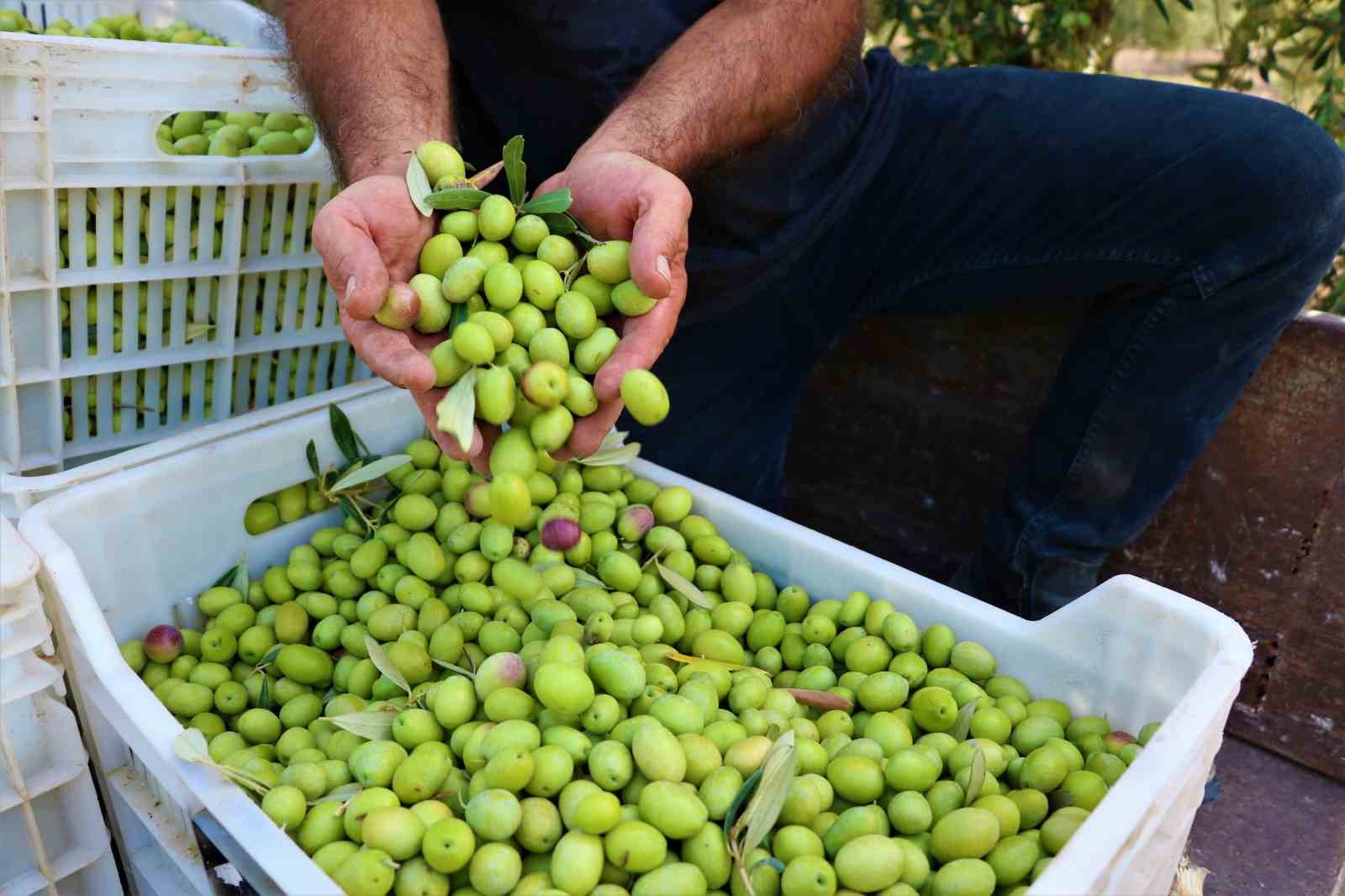 Manisa Coğrafi İşarette 16’ncı sırada
