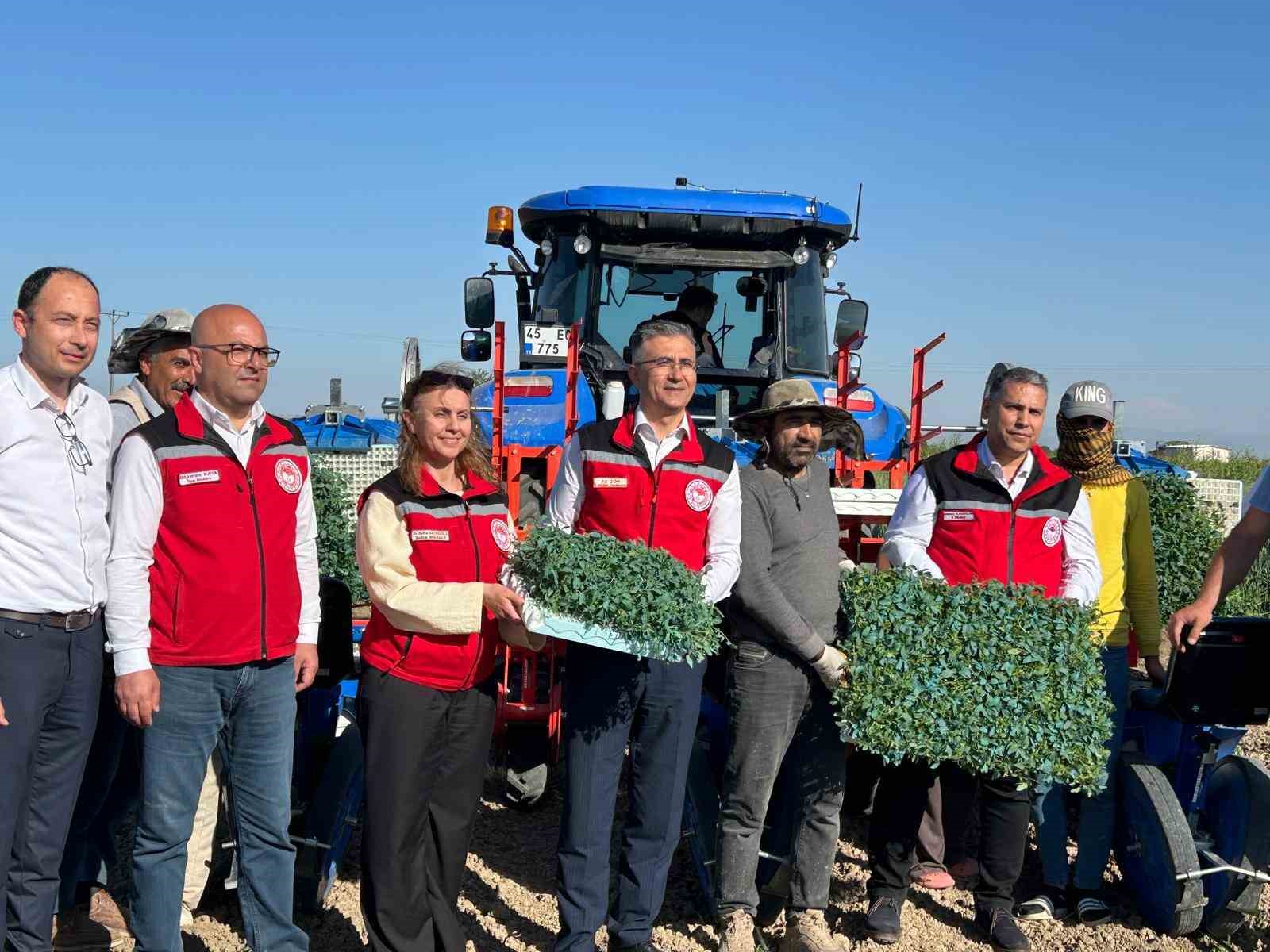 Manisa’da 131 bin dekarlık alanda domates mesaisi
