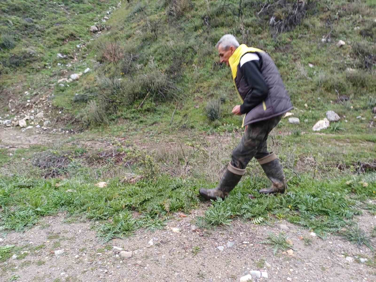 Manisa’da kuzugöbeği tutkusu engel tanımıyor
