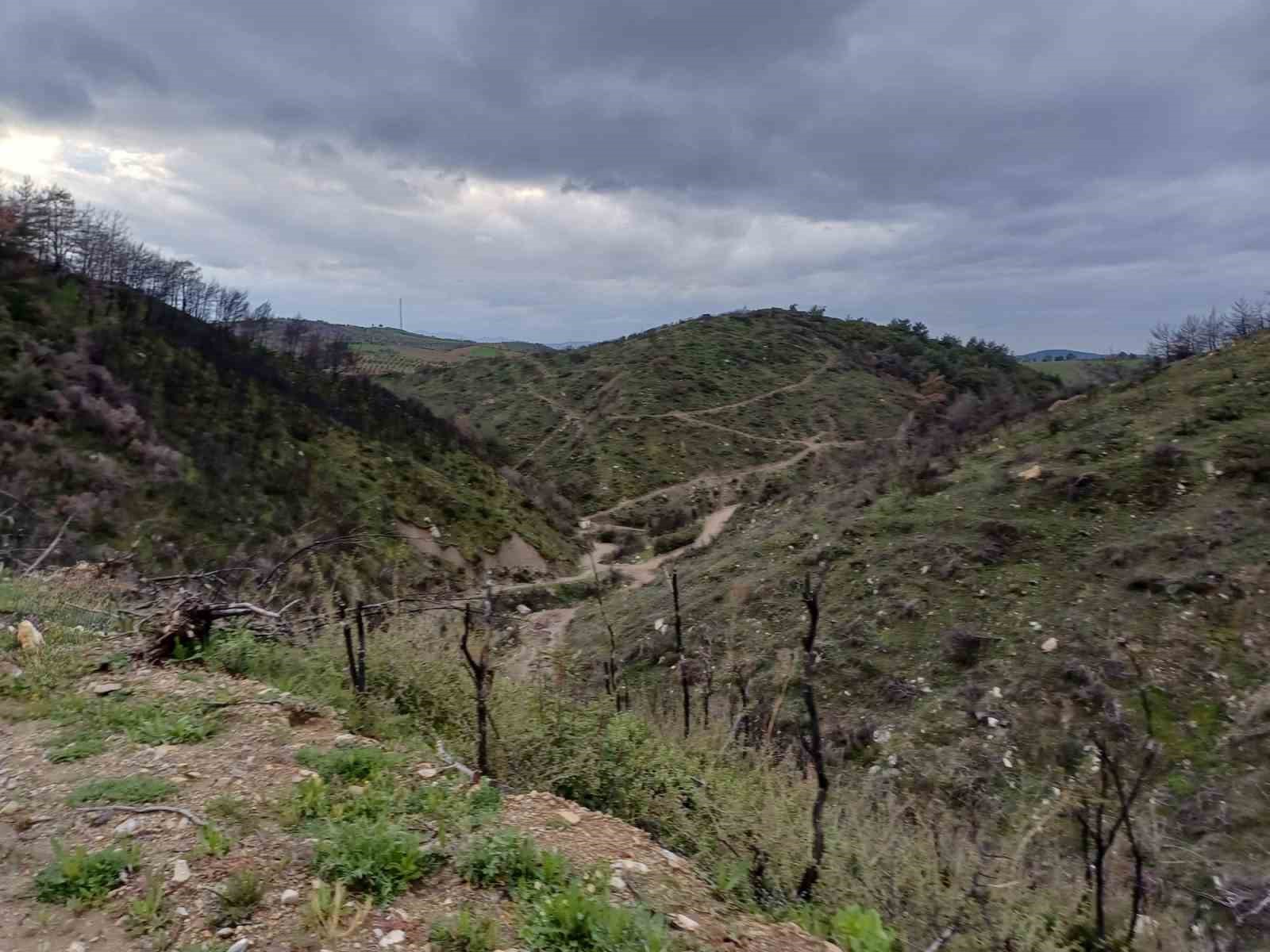 Manisa’da kuzugöbeği tutkusu engel tanımıyor
