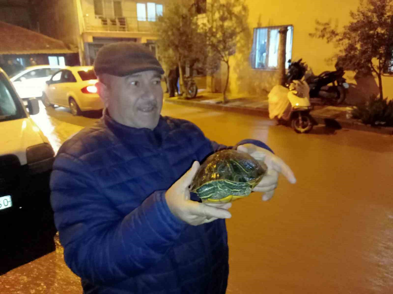 Manisa’da sağanak yağış etkili oldu: Otomobil dereye düştü, elektrikli otomobil alev aldı
Manisa’da sağanak yağış etkili oldu: Otomobil dereye düştü, elektrikli otomobil alev aldı