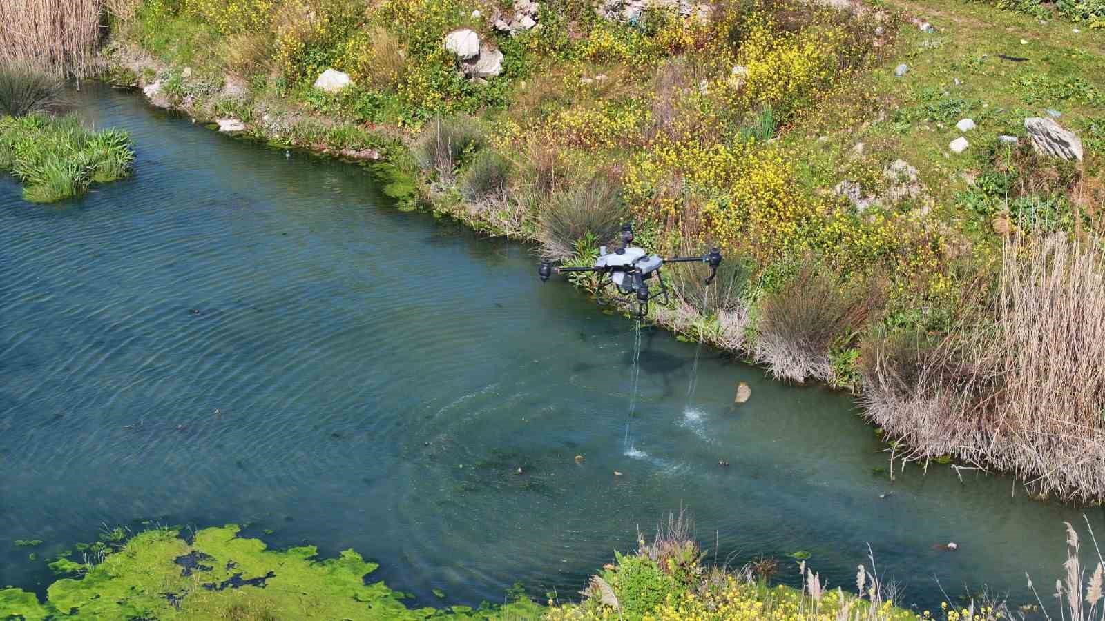 Manisa’da sivrisinek alarmı
