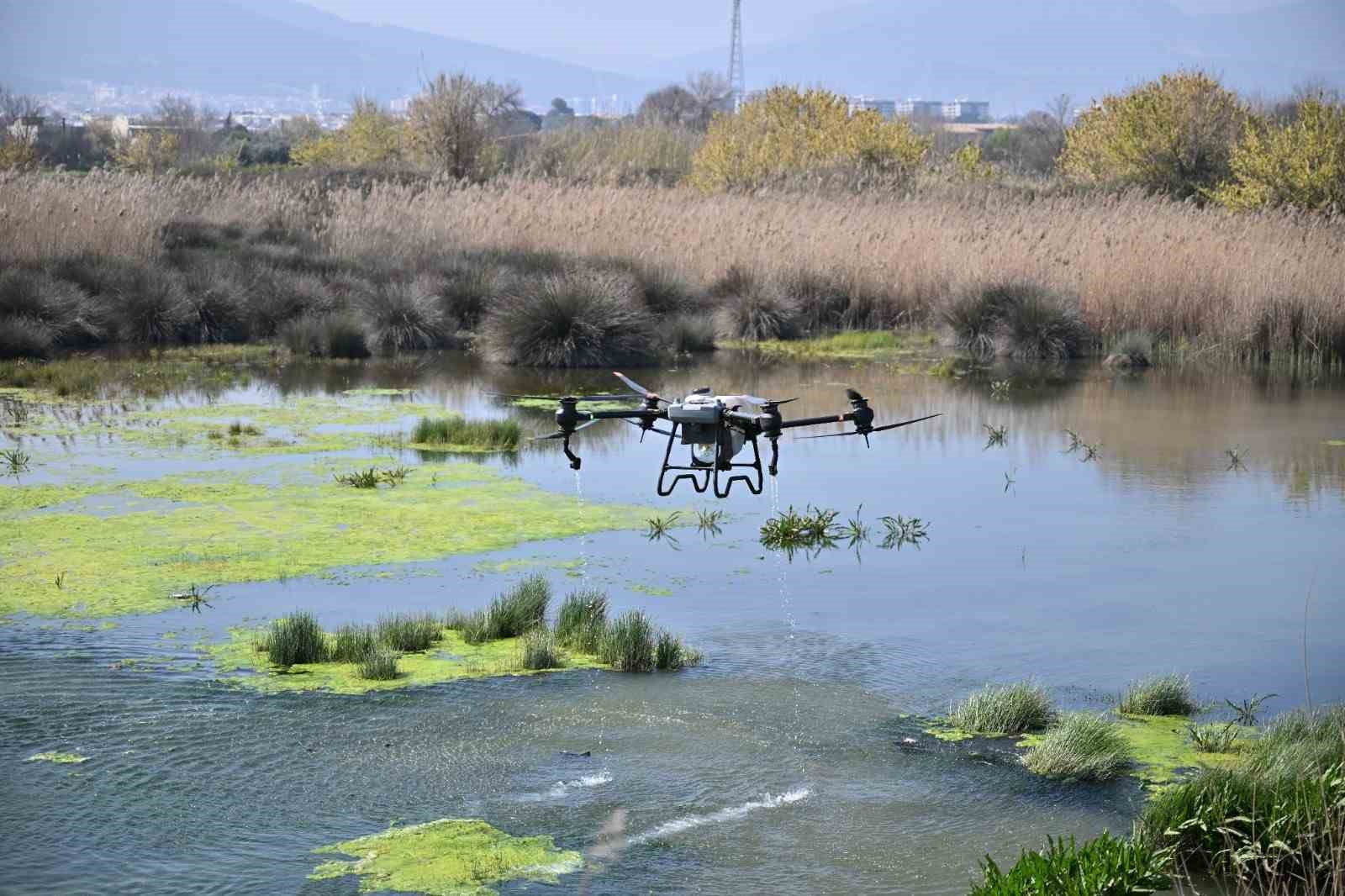 Manisa’da sivrisinek alarmı
