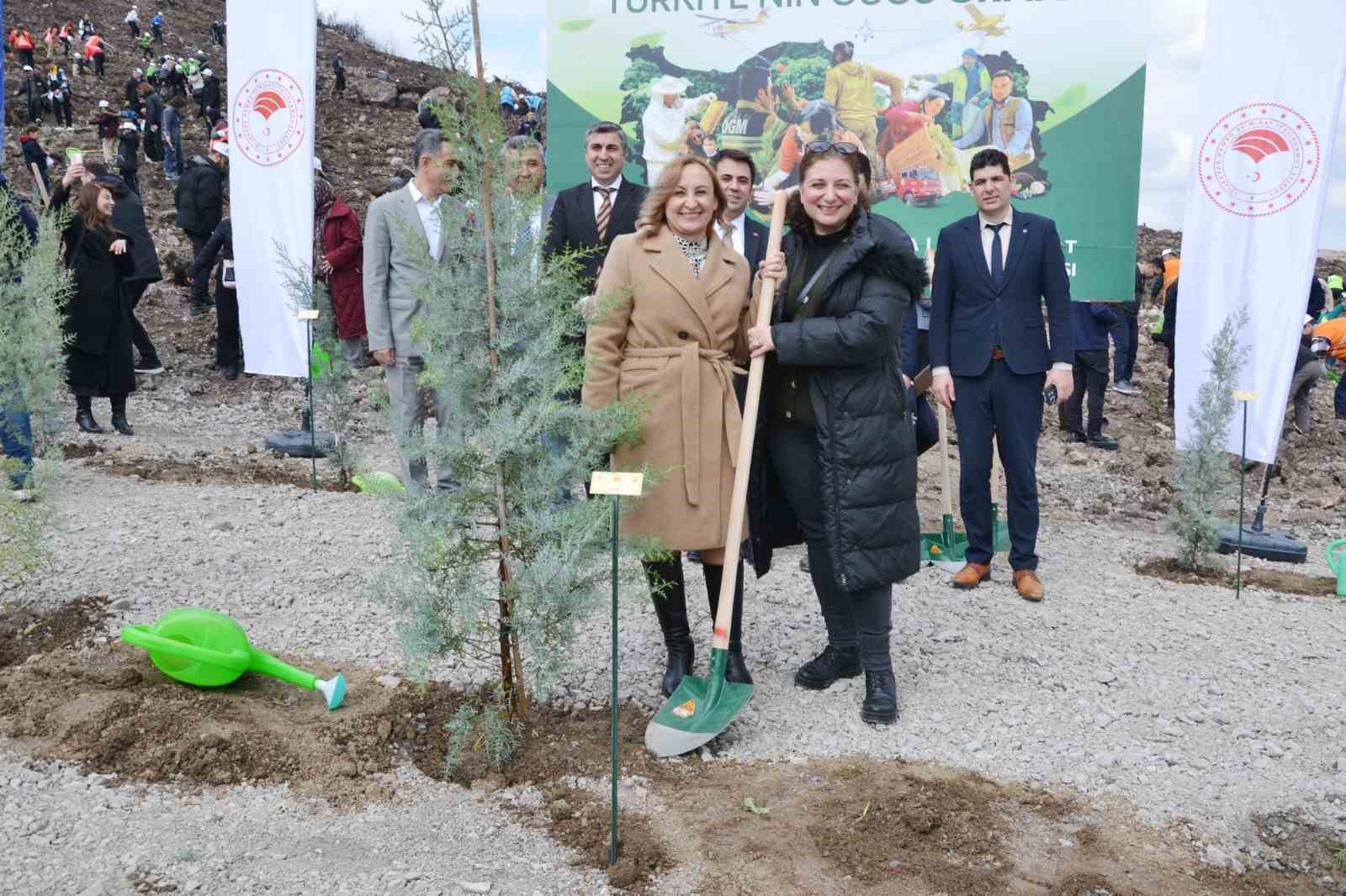 Manisa’da yanan alanlar yeniden yeşeriyor
