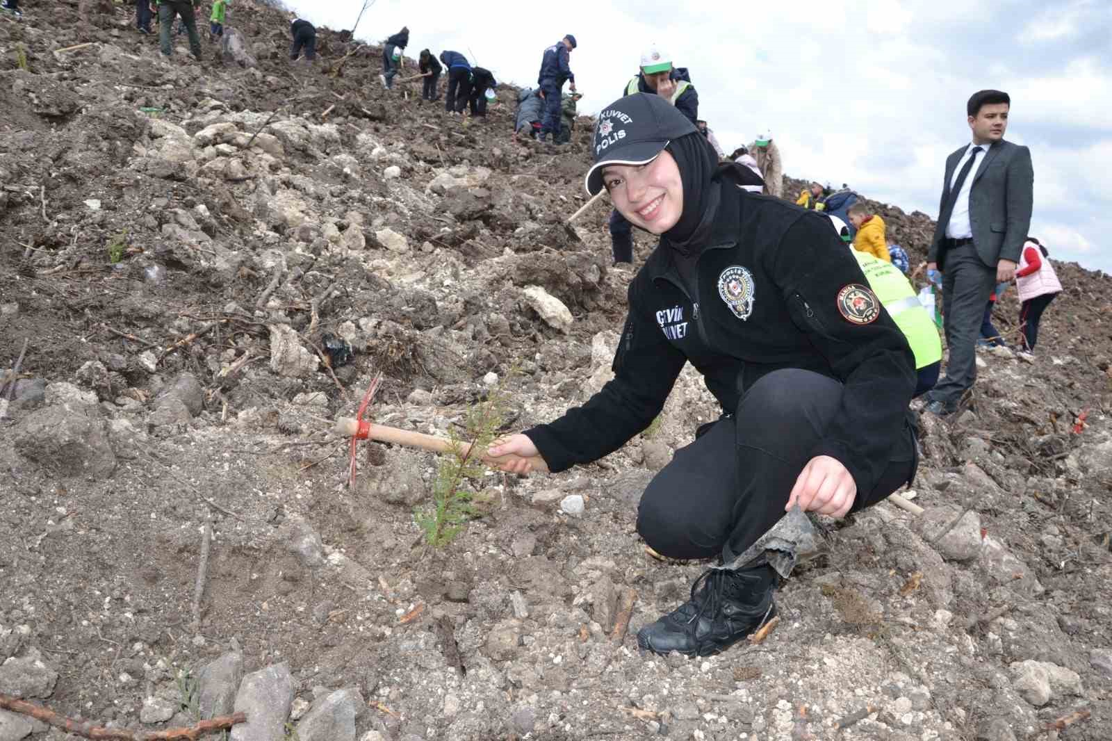 Manisa’da yanan alanlar yeniden yeşeriyor
