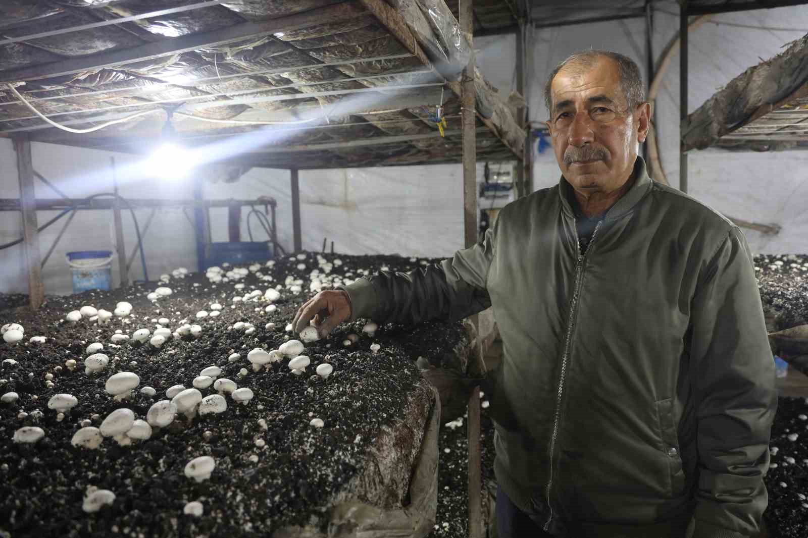 Mantar üreticiliğine ilk adımı ahırda attı, varını yoğunu satıp kurduğu 3 çadırda mantar üretiyor
Mantar üreticiliğine ilk adımı ahırda attı, varını yoğunu satıp kurduğu 3 çadırda mantar üretiyor